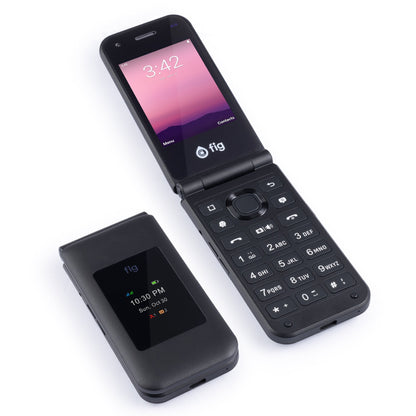 Fig Mini II