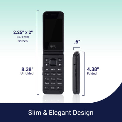 Fig Mini II