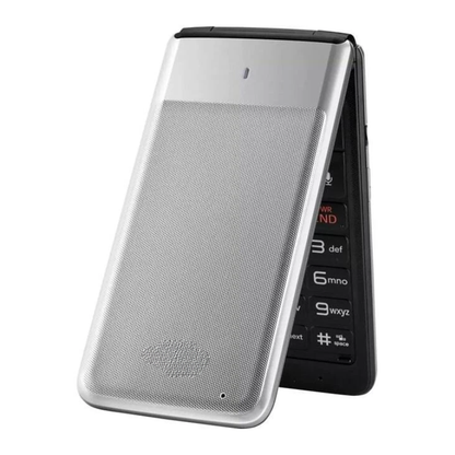 LG silver VN220