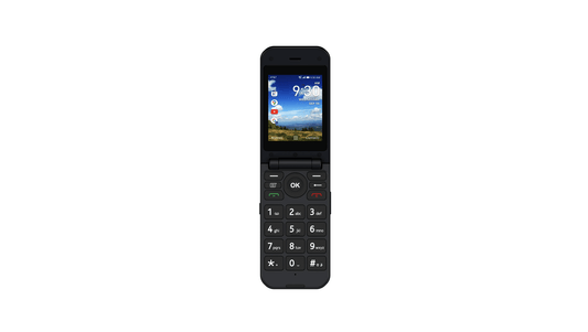 Cingular Flex Phone