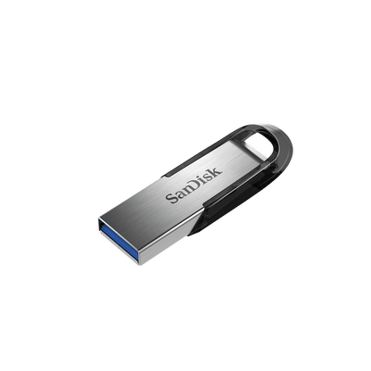 SanDisk Flash drive